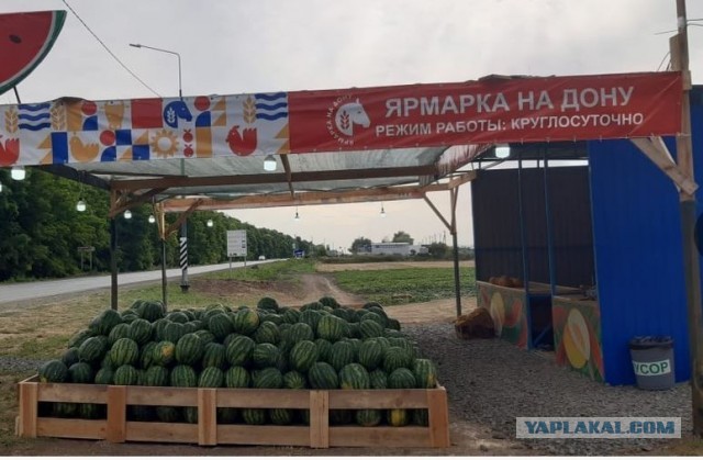 Узбеки знают толк в арбузах.