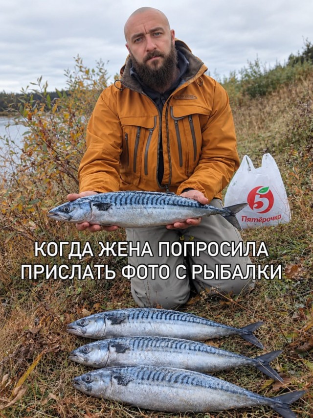 Картинки для деградации 273 (разной степени свежести)