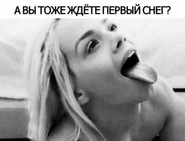 Картинки для деградации 309 (разной степени свежести)