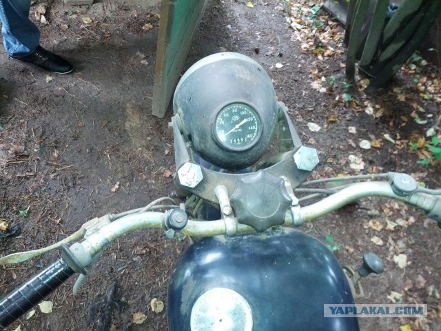Назад в будущее