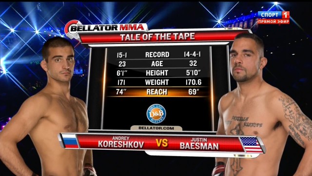 БОКС/MMA....