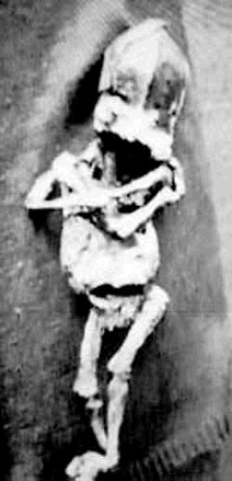 Как вести себя с хамами в самолете?