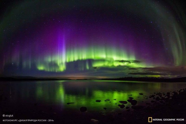 National Geographic,избранное...