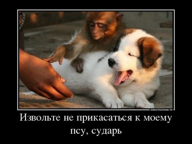 Веселое из сети