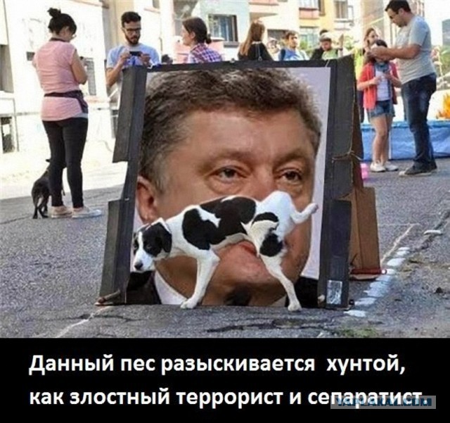 10 политических картинок часть 5