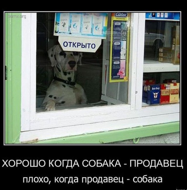Картинки разные с интернету