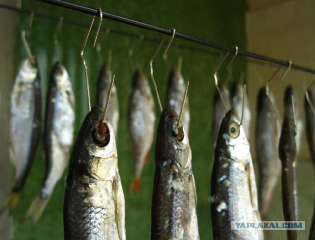 14 оригинальных применений скрепки и канцелярского зажима.