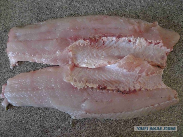 10 лет разделу "Кулинария"