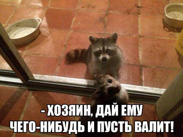 Винегрет фоток на пятницу...