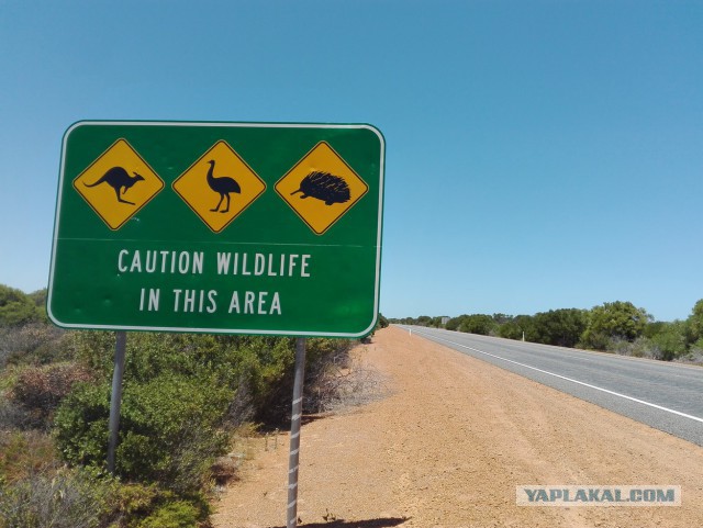 Западная Австралия. Декабрь 2016.