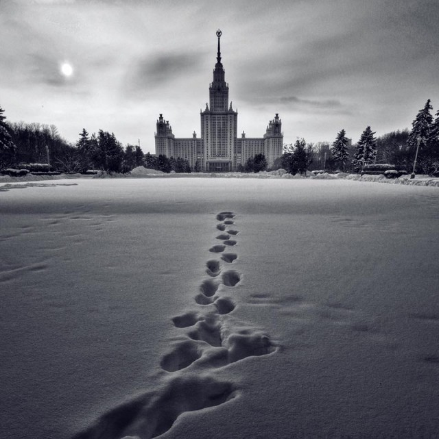 Подборка безудержного веселья