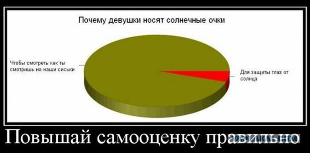 Баяны в чёрных рамках