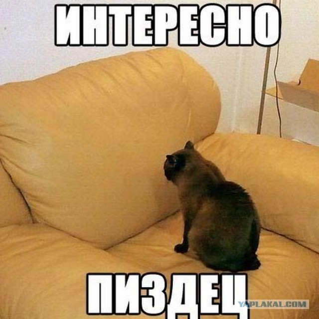 Где и почему скрывают самого влиятельного человека на Земле