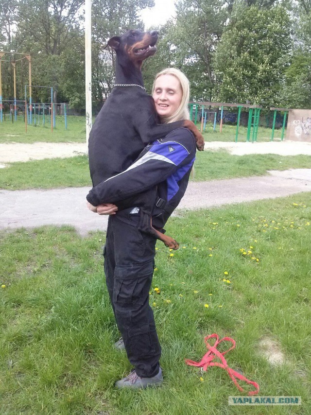 Первая встреча и любовь с первого взгляда.
