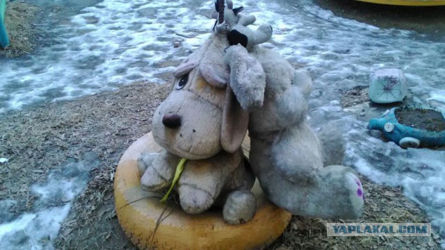 Спёрли