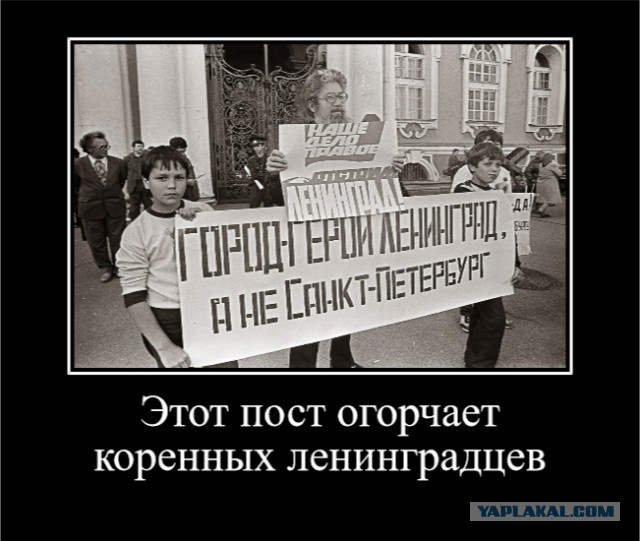 XX век представляет