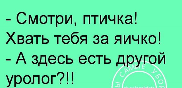 Ударим медицинской деградацией по урологии и ветеринарии!