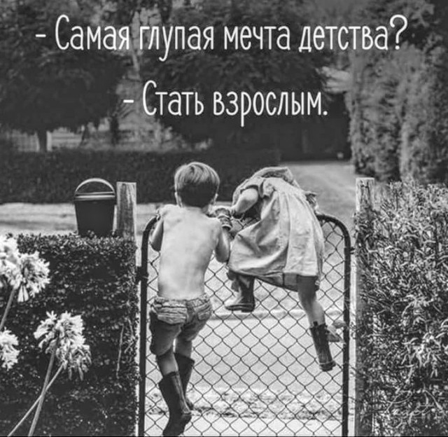 Картинки с надписями и анекдоты 24.7.19