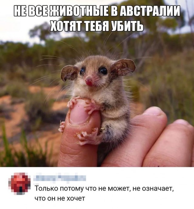 Подборка так себе картинок