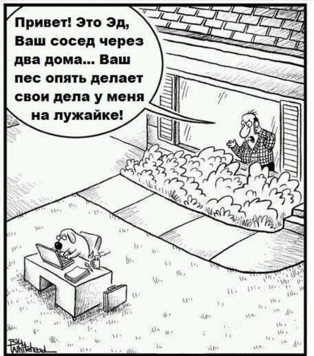 Юмор в картинках