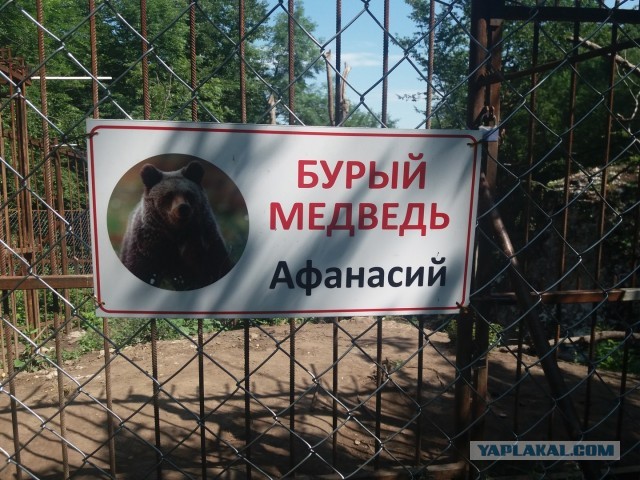 Моя любимая Адыгея (Хаджохская теснина)
