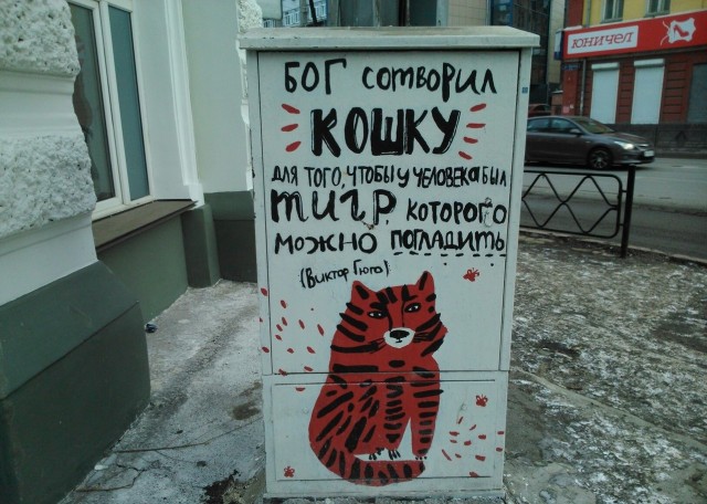 Смешные коты 18.08.20