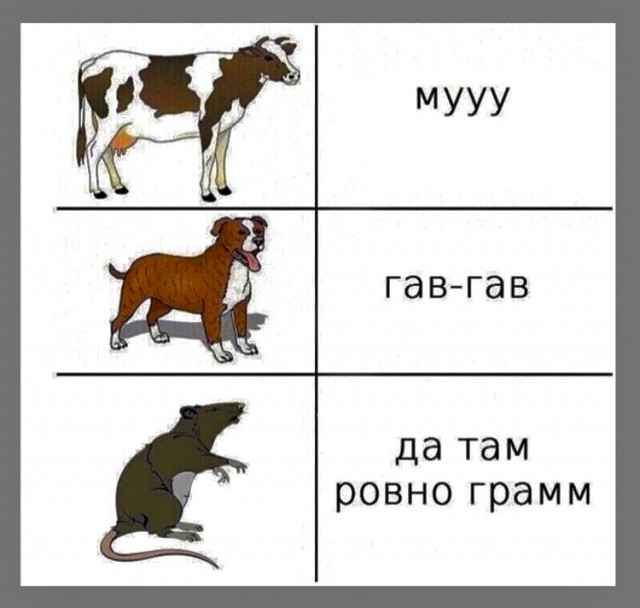 Кретинизмы в джипегах 25.10.20