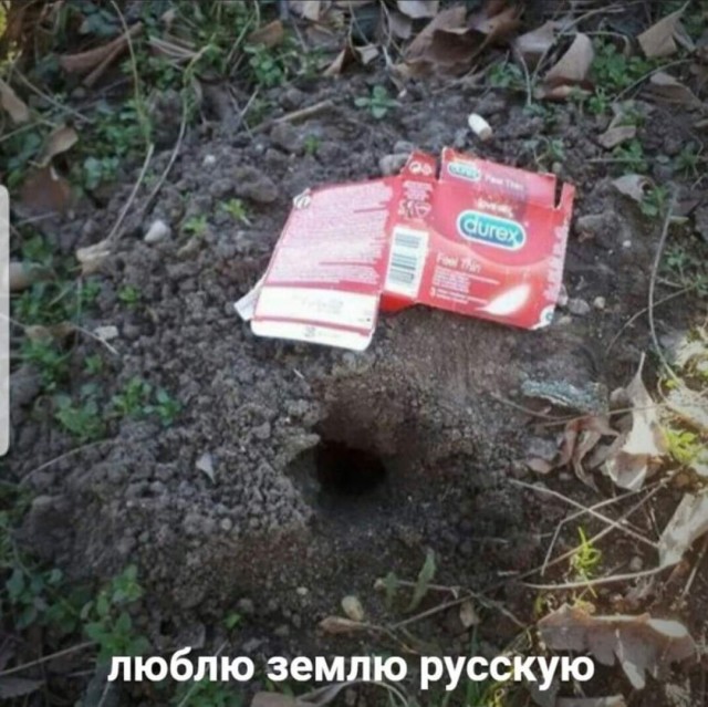Сегодня совсем лайтовенькие картинки