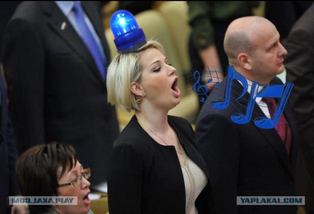 Фотожаба: Депутатка 80 lvl