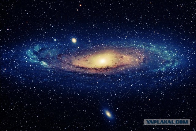 #ДРКулинарии2021, Курица в клементинах