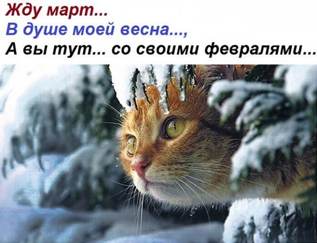 Баянисто-небаянистый юмор 17.02.21