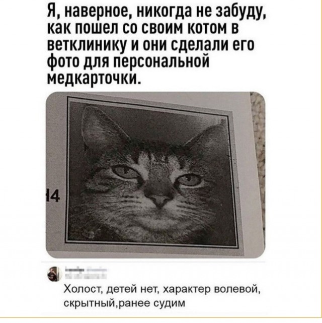 Немного картинок с надписями и без - 21.03.2021