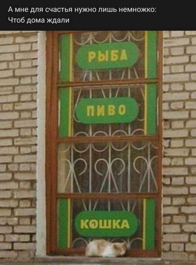 Картинки и мемы для настроения