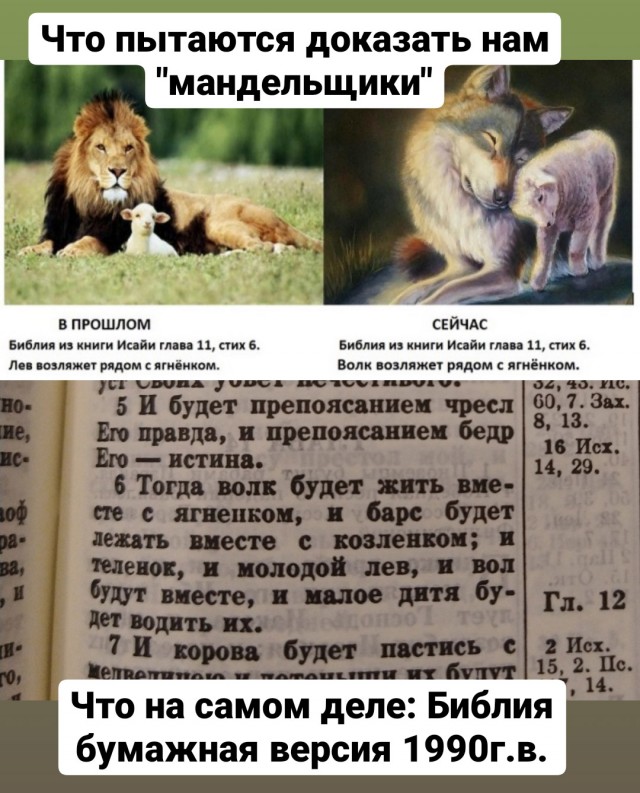 Бритни Спирс выступила против Эффекта Манделы