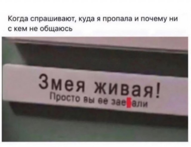 Картинки и мемы для настроения 17.08.2021