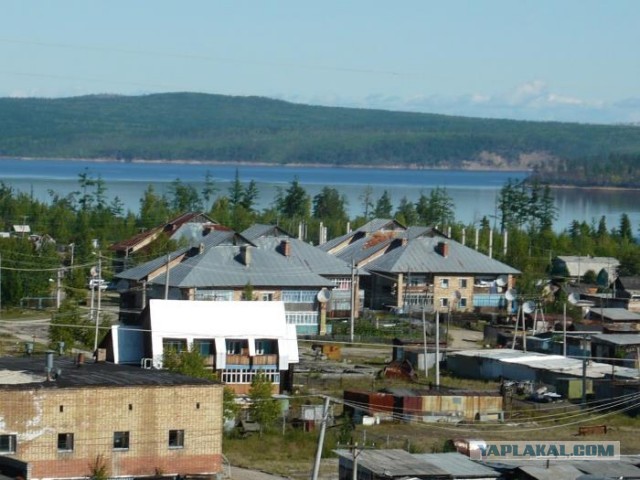 Российские леса постоянно горят, но их биомасса рекордно выросла. Как так вышло и что из этого следует?