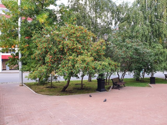 Уфа – худший миллионник для прогулок в стране