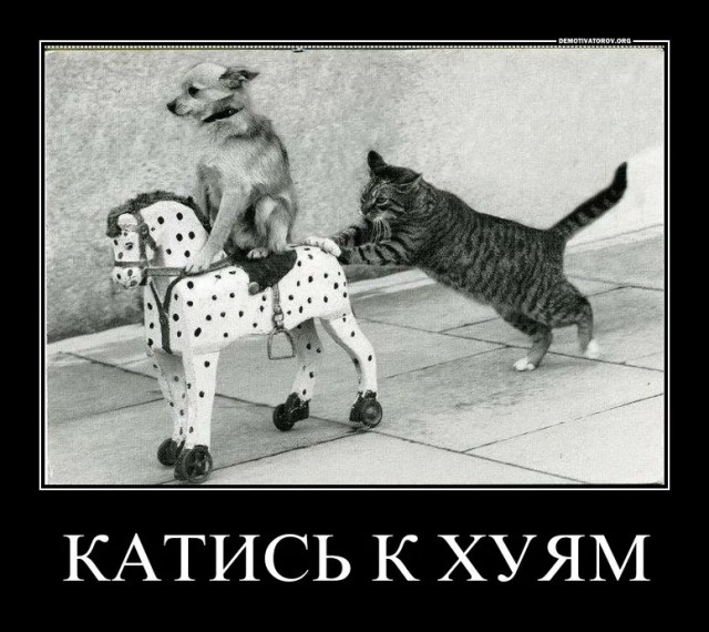 "Везде идут проверки, братья"