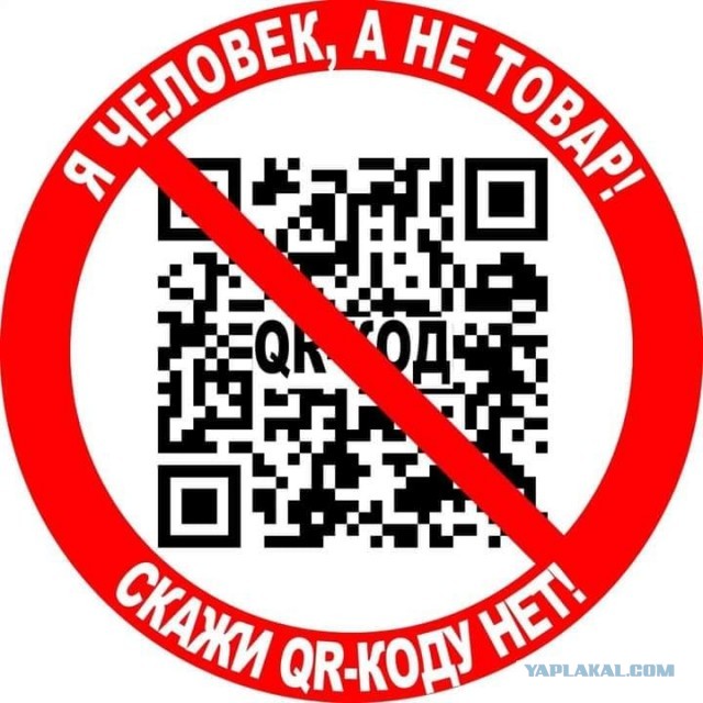 Госдума отложила принятие закона о QR-кодах. Его обсудят в регионах
