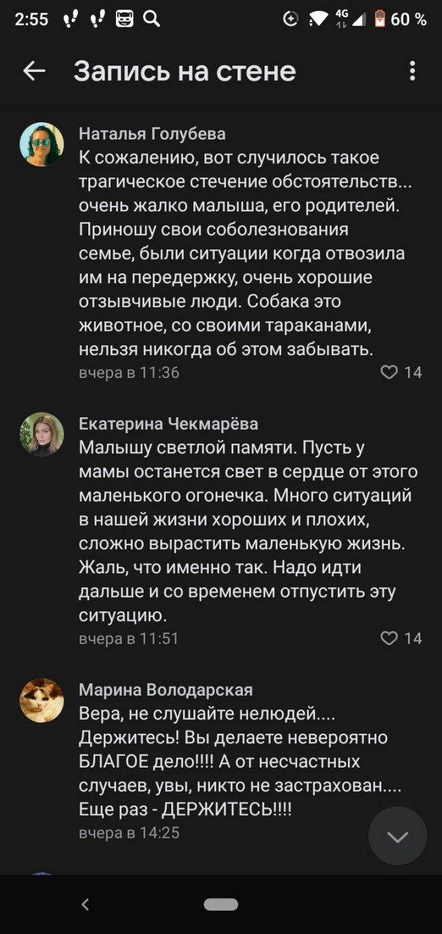 В Тверской области собаки загрызли насмерть 6-летнего ребенка