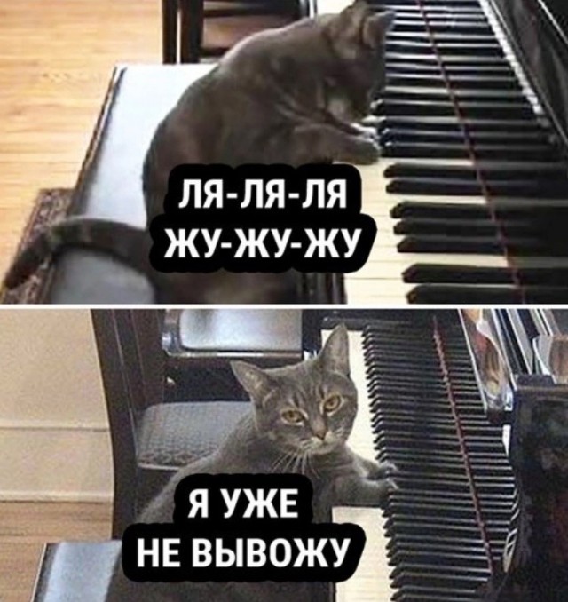 Человек собаке друг и другие картинки и мемы  под настроение