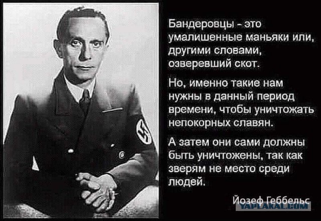 Мы братья