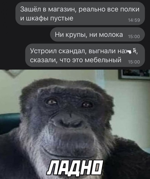 Весёлый полтишок 14.03