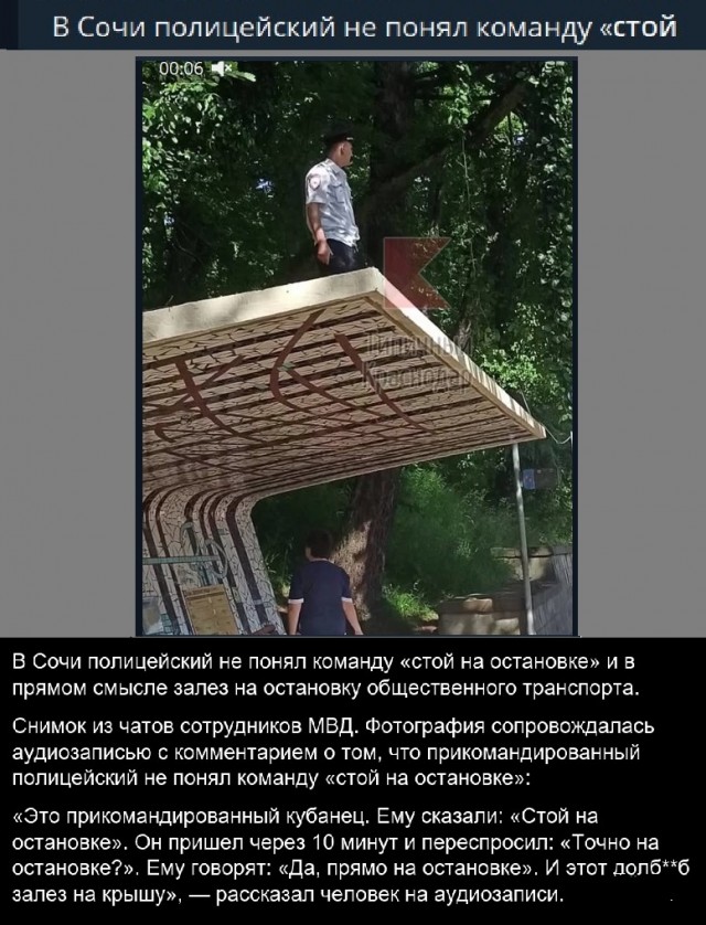 Картинки с надписями и всякие жизненные фразы