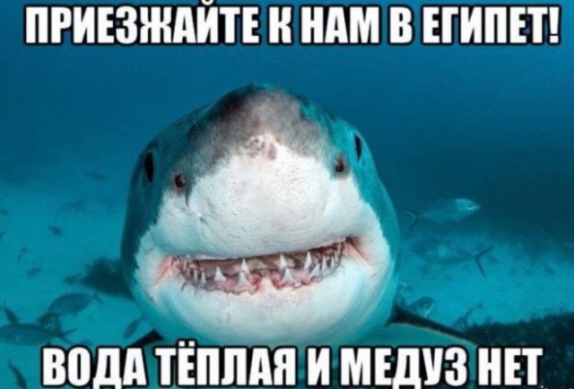 Картинки и мемы для настроения - 15