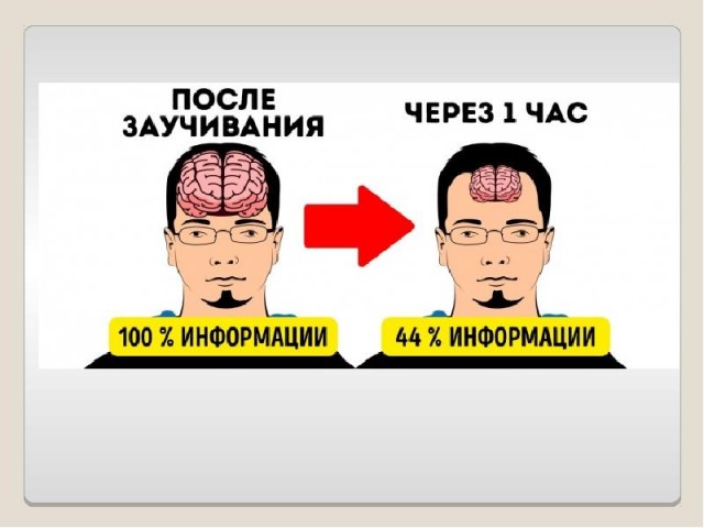 25 странных фактов