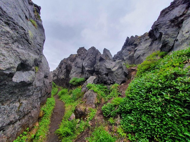 Сахалин, Кунашир и Камчатка за две недели.