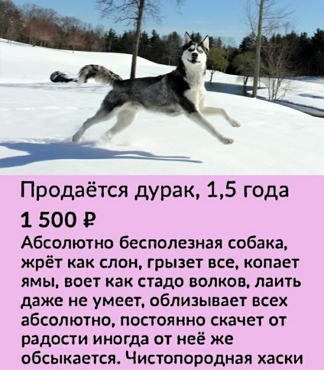 У нас пополнение в семействе
