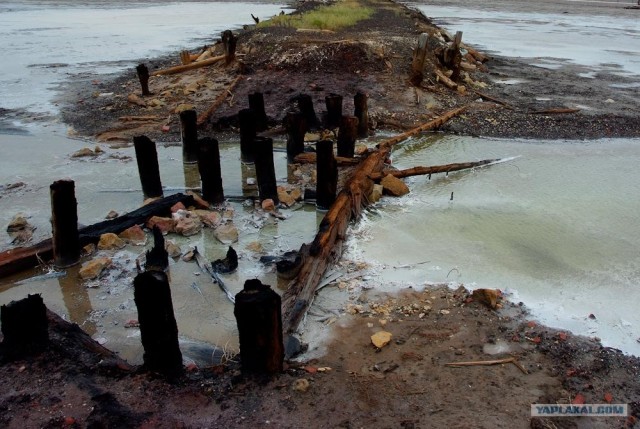 Вот в чем вся соль!