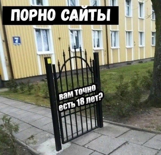 Так себе картинки 21.09.22